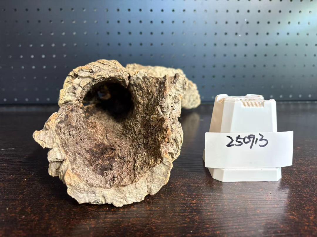 255D01 ポルトガル産 キャノンコルク コルク樹皮 バージンコルク