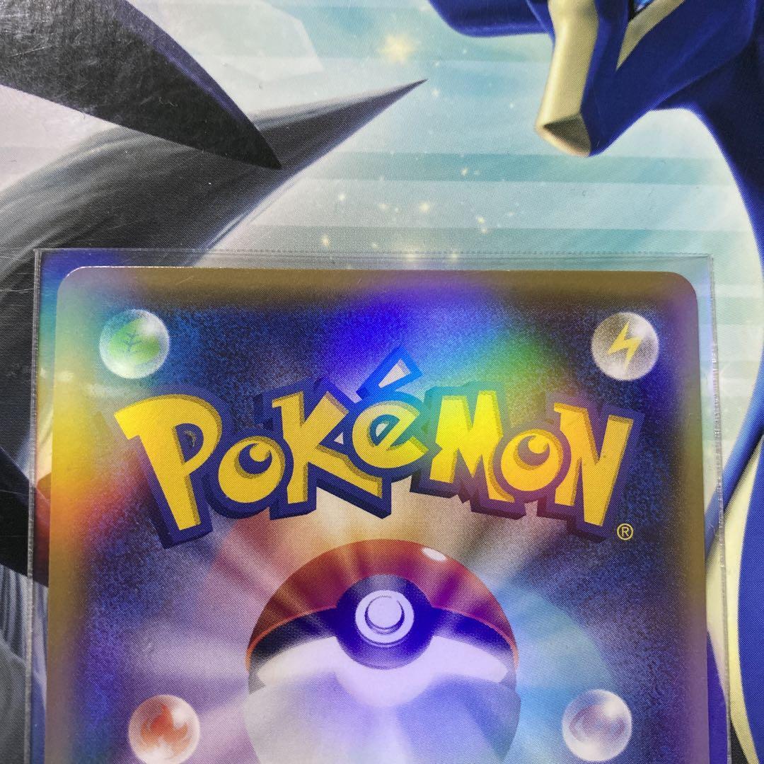 ポンチョを着たピカチュウ プロモ 203/XY-P