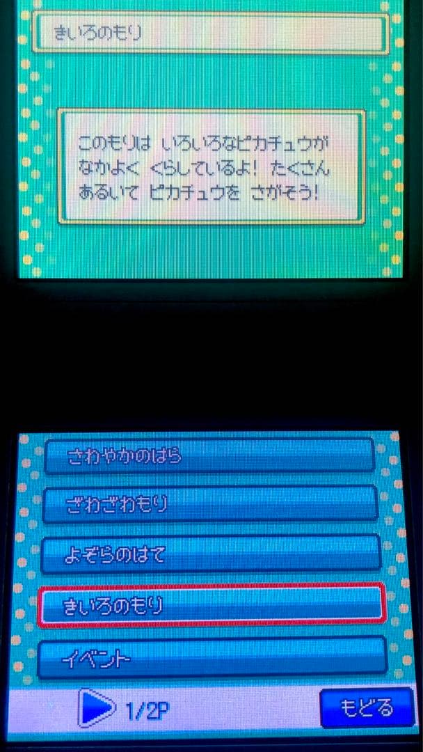 ポケットモンスター ソウルシルバー ポケットモンスター ソウルシルバー