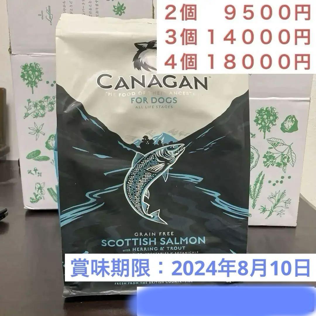 カナガン ドッグフード サーモン 2kg - ドッグフードブランド