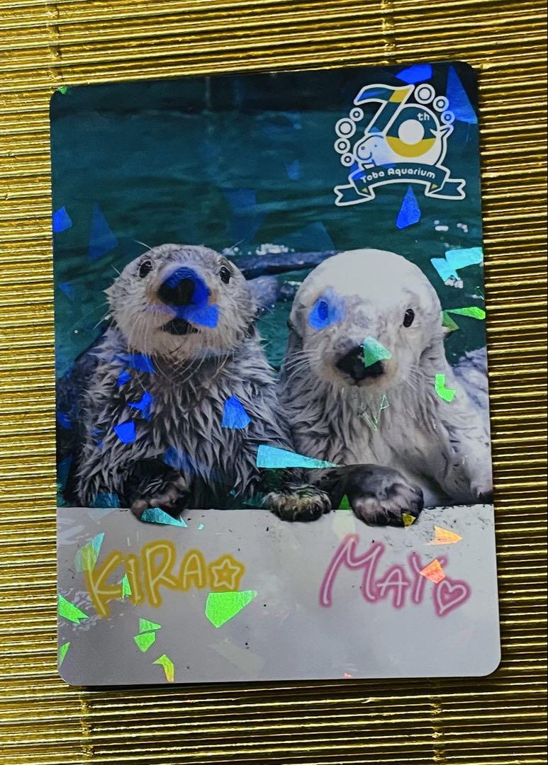 激レア！！⭐️鳥羽水族館⭐️70周年⭐️キラとメイ⭐️メイキラ