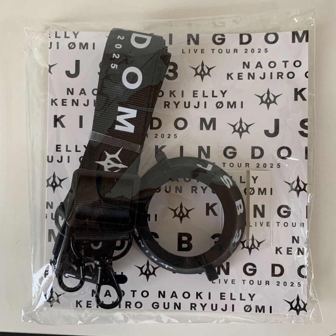 MATE Light Stick ストラップ KINGDOM 2025 - メルカリ