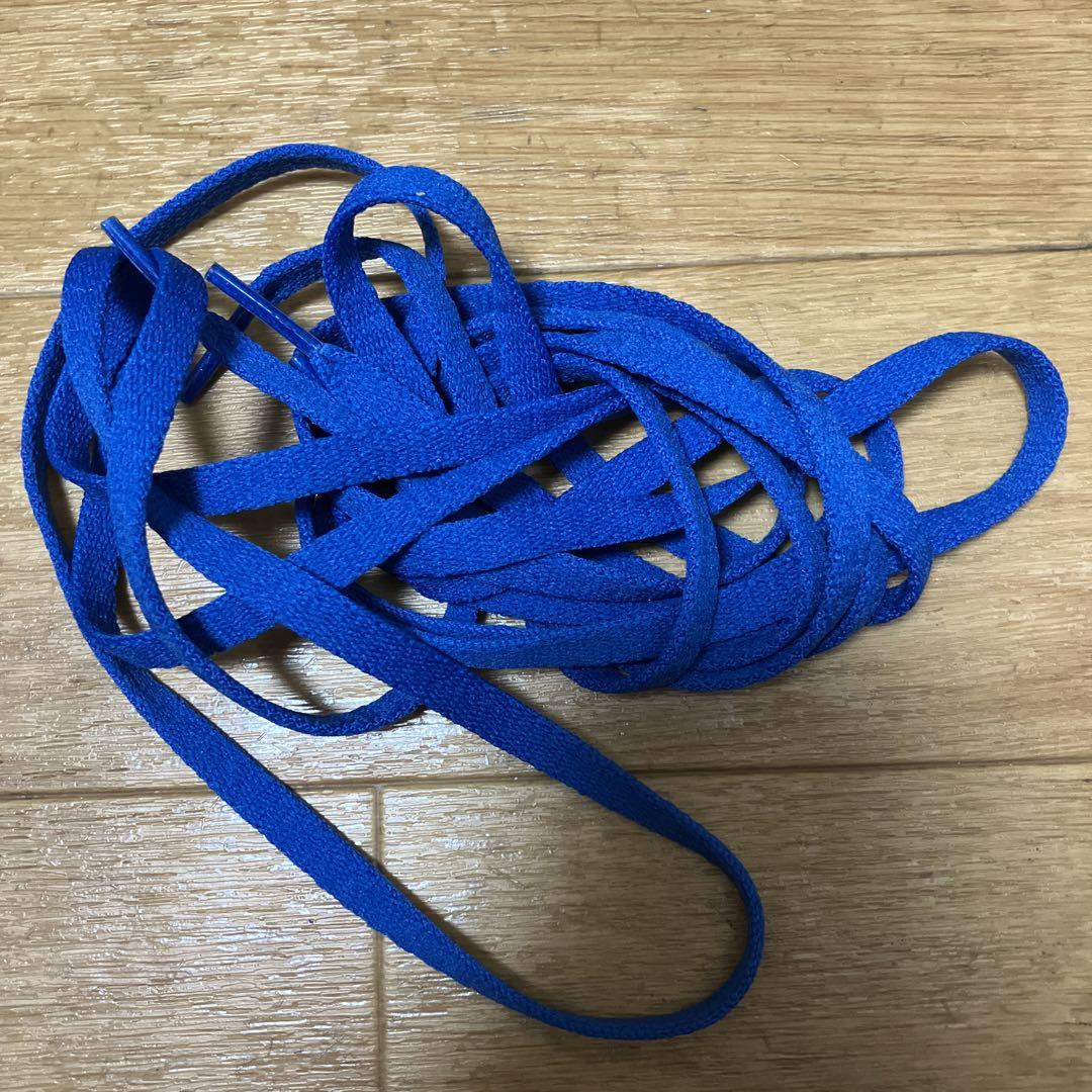 NIKEエアジョーダン１バスケットボールシューズ ハイカット ブラック/ブルー