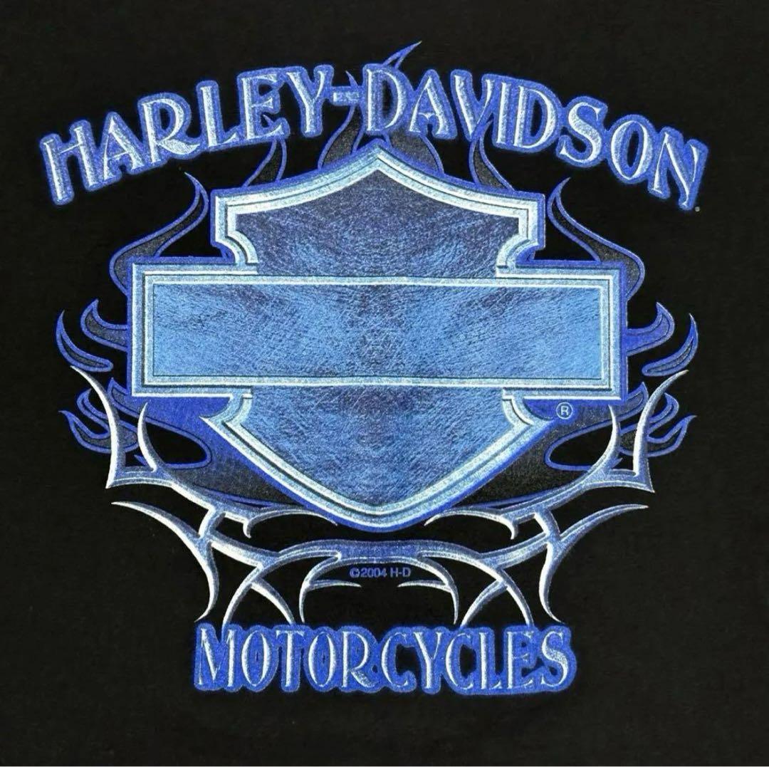 希少 XL HARLEY DAVIDSON ブルー フレイム トライバル ロンT