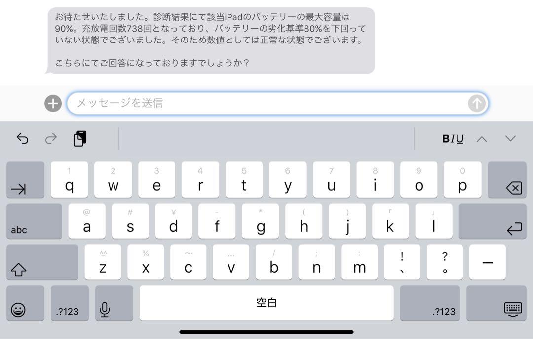 iPad Pro 11インチ (第1世代) 256GB