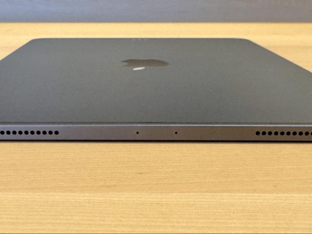 iPad Pro 11インチ (第1世代) 256GB
