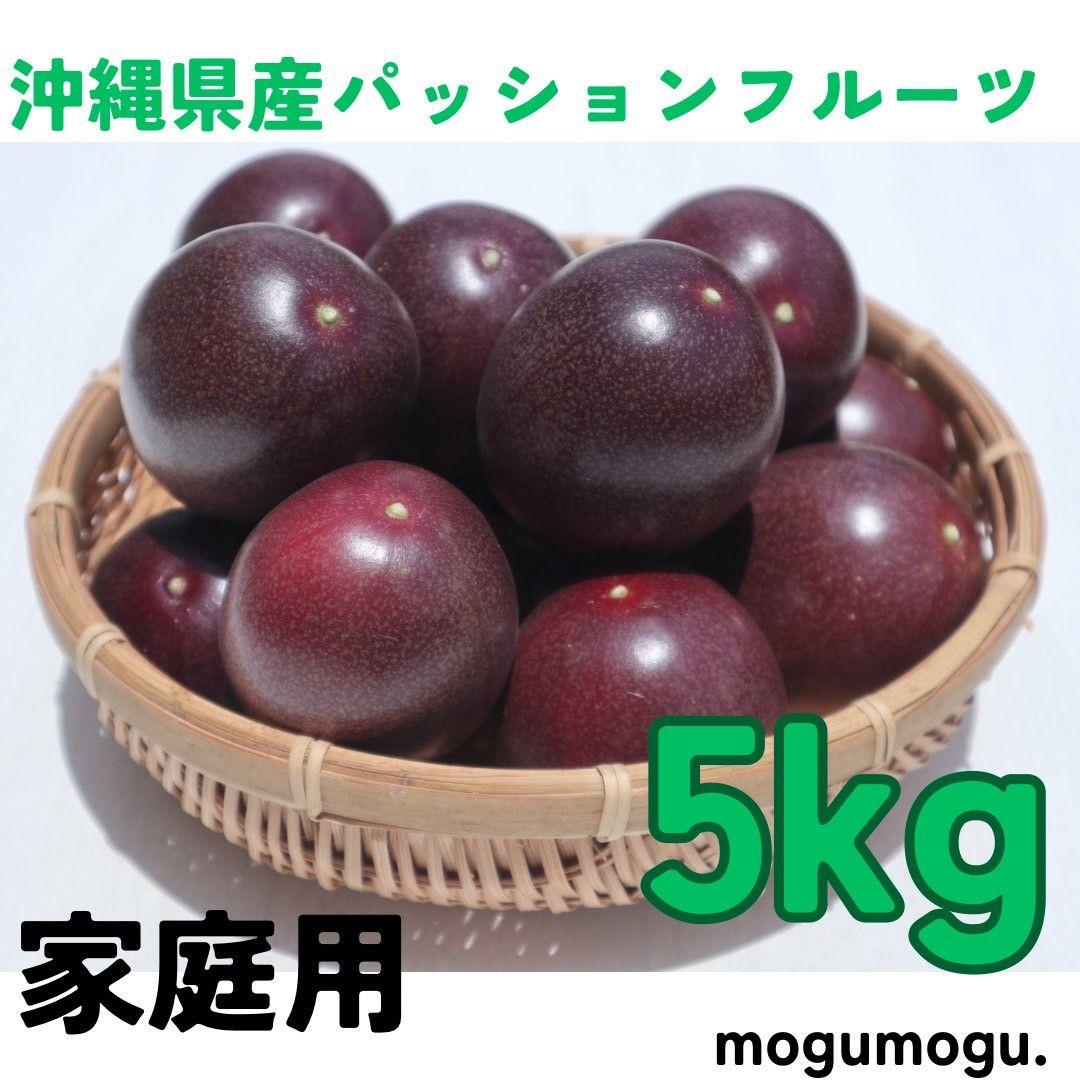 沖縄県産パッションフルーツ　家庭用5kg　本日7/15発送可