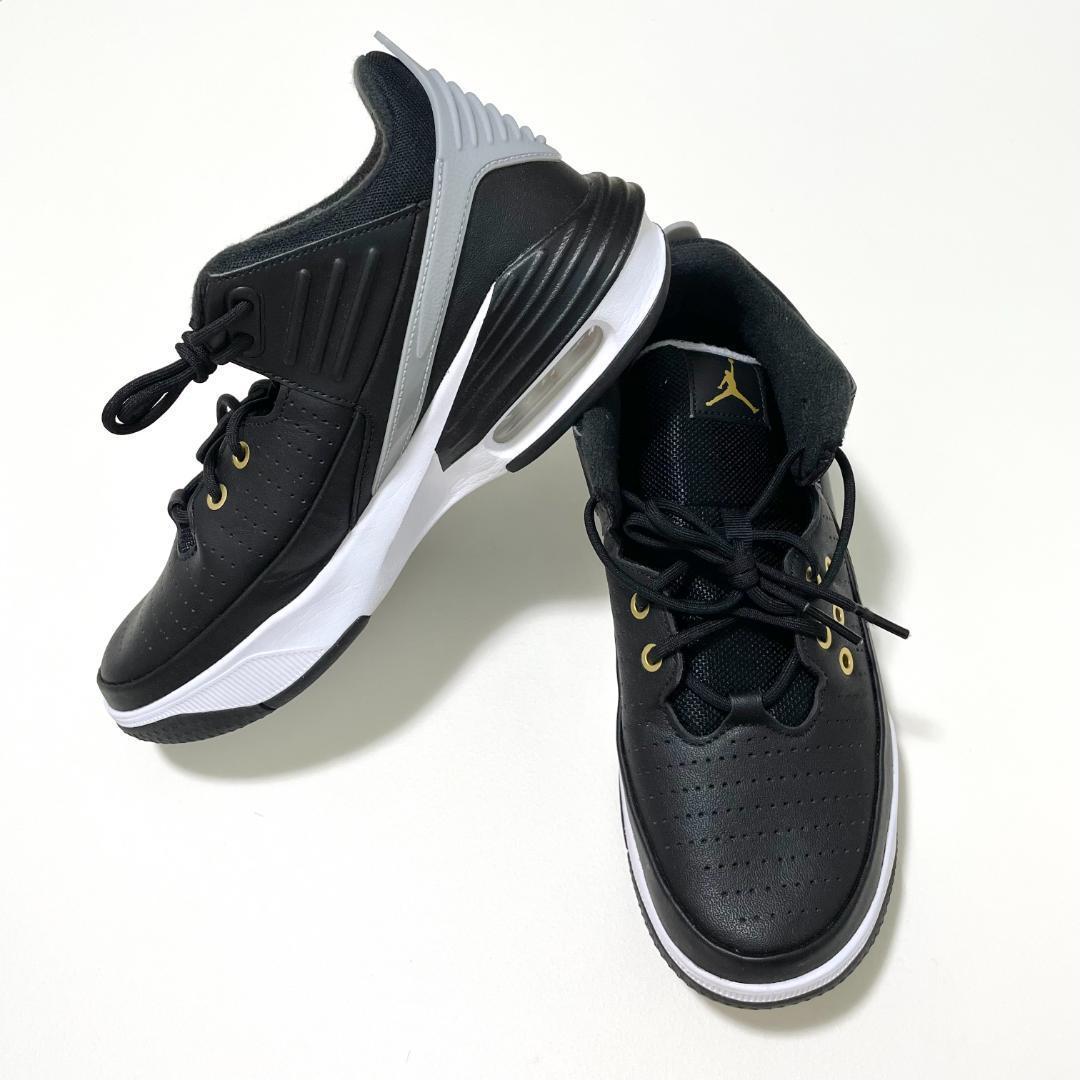 NIKE ナイキ スニーカー 25.5cm エアジョーダン マックス オーラ 5