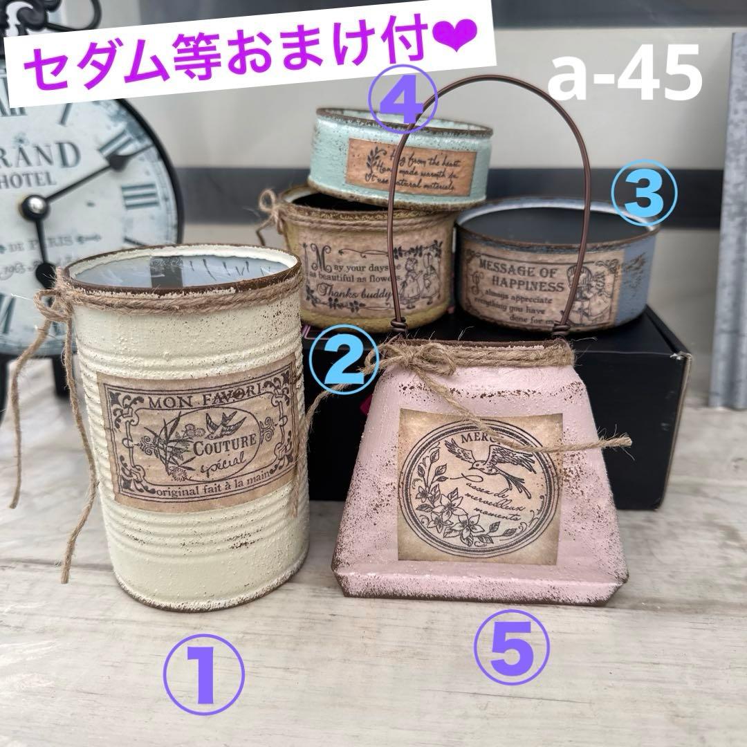 リメイク缶a-45 多肉植物 寄せ植え インテリア目立った傷や汚れなし