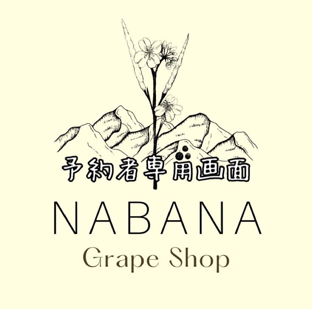 【はる様専用】山梨県産Aの粒　箱込1kg弱