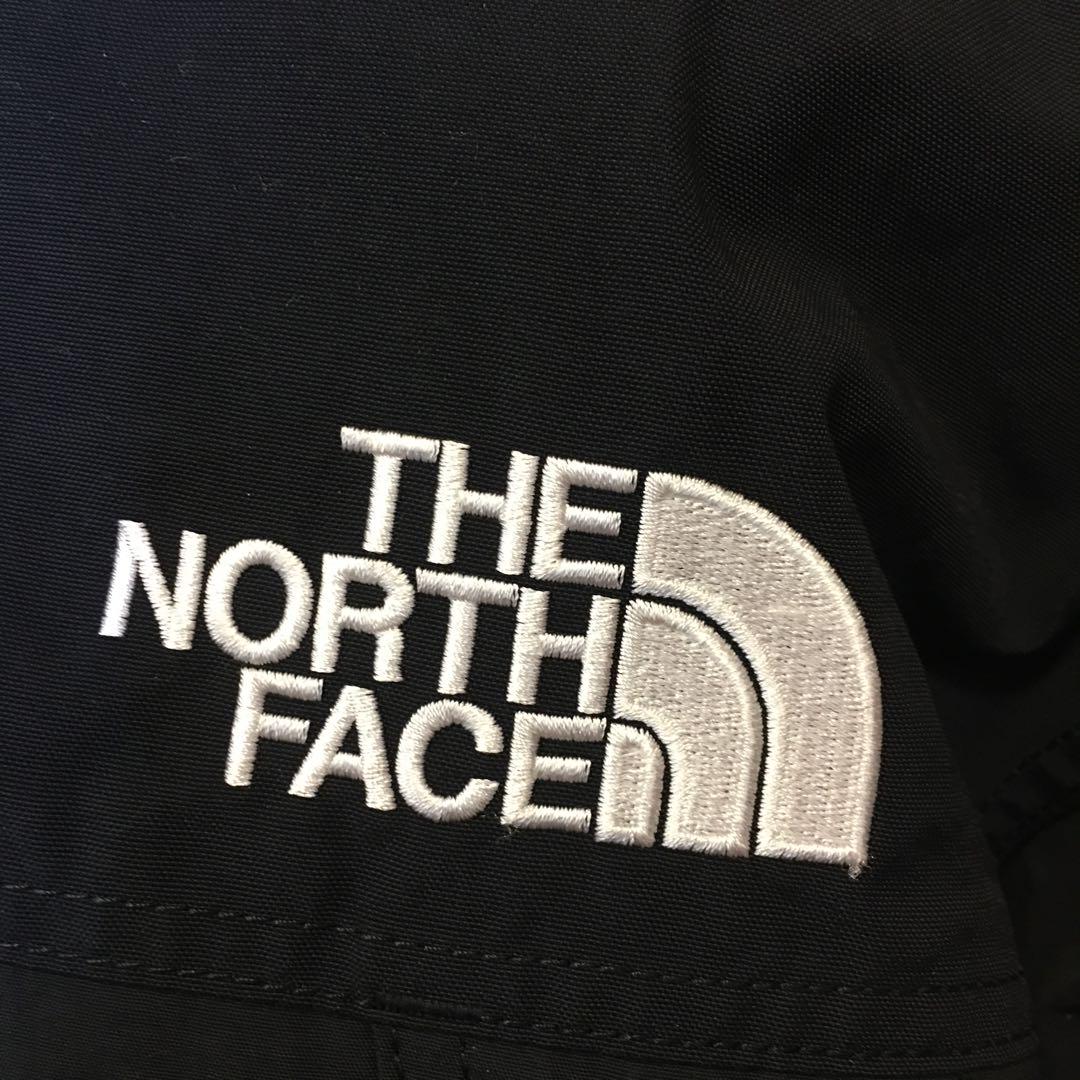 ジャケット・アウター THE NORTH FACE MOUNTAIN DOWN JACKET