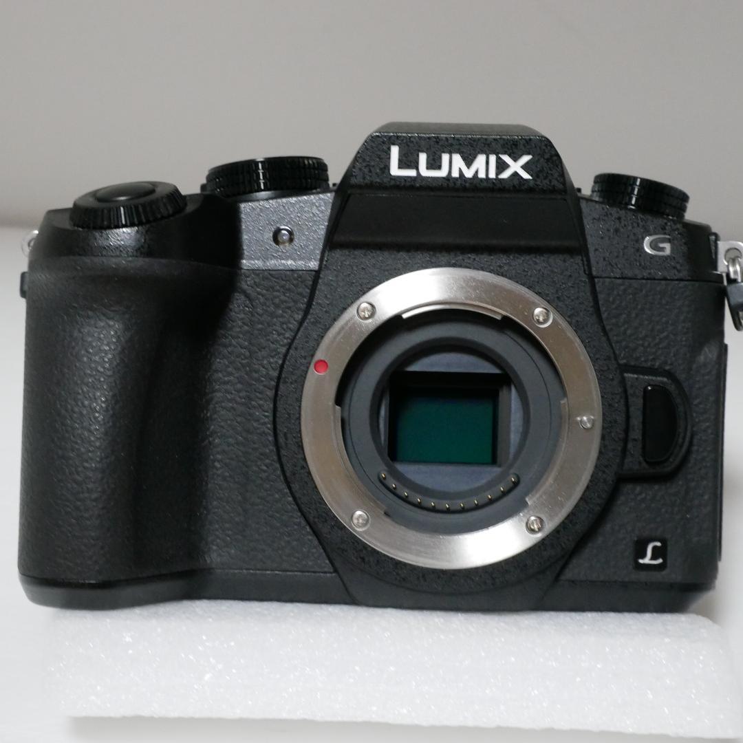 ★最終値下美品ショット数２２４回★完動品★センサーＯＫルミックス ＤＭＣ－Ｇ８★