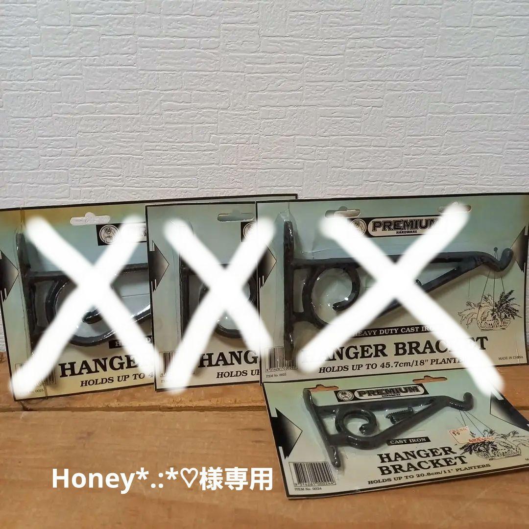 ガーデン雑貨　アイアンフック　生産終了品　ハンガーブラケット　大小　4個セット