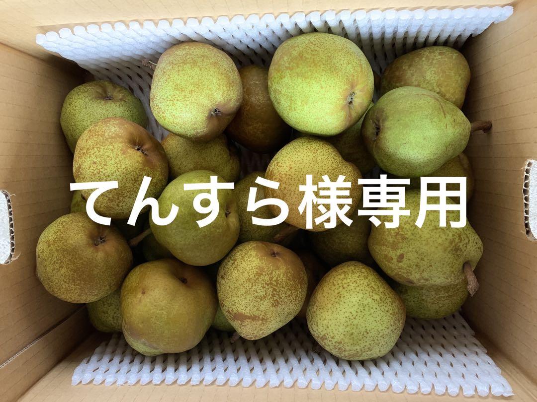 てんすら様専用ページ ラ・フランス S玉 5k箱(ご家庭用) - メルカリ てんすら様専用ページ ラ・フランス S玉 5k箱(ご家庭用) - メルカリ