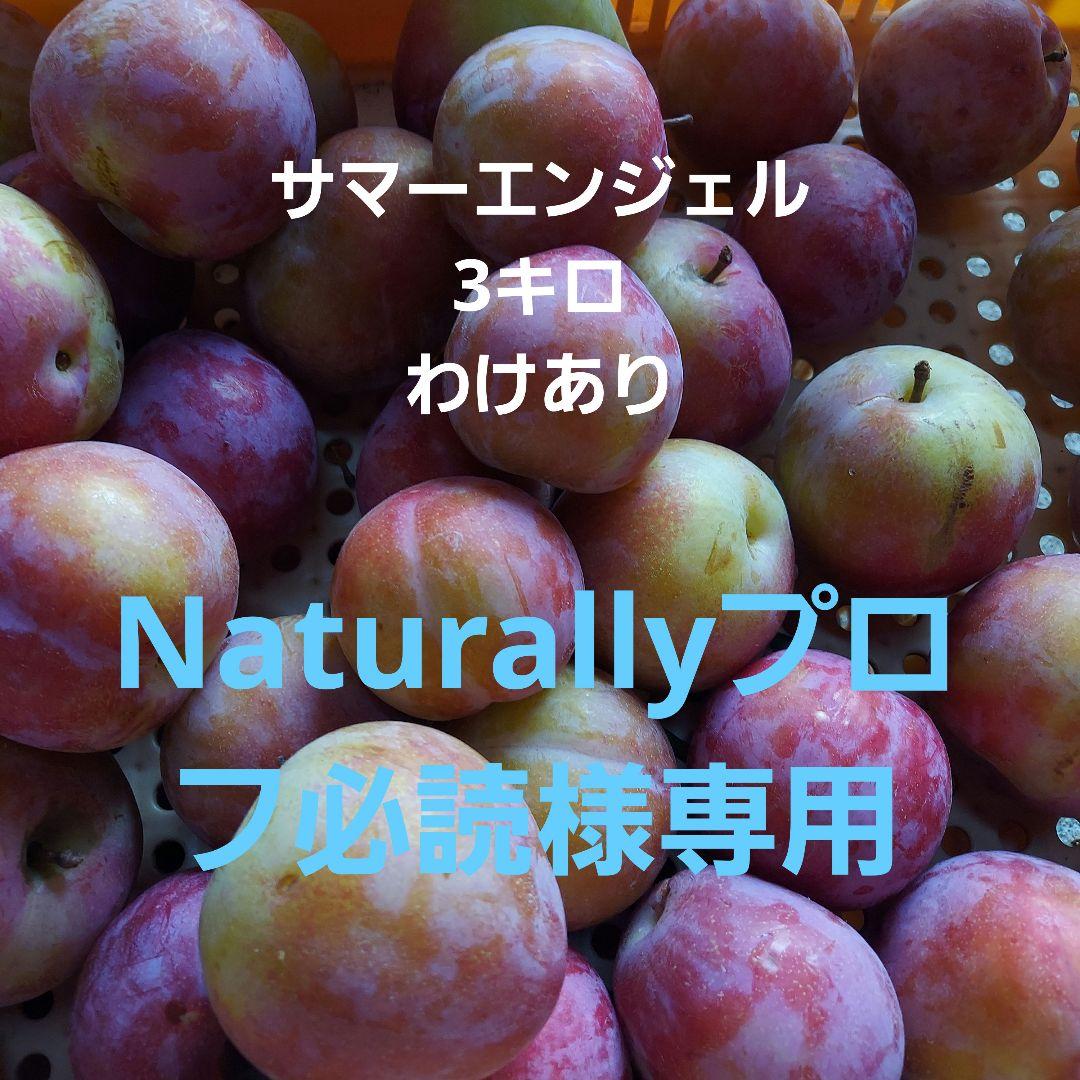 断捨離中（プロフ必読お願い致します）様 m37976581415_1.jpg?1713103025