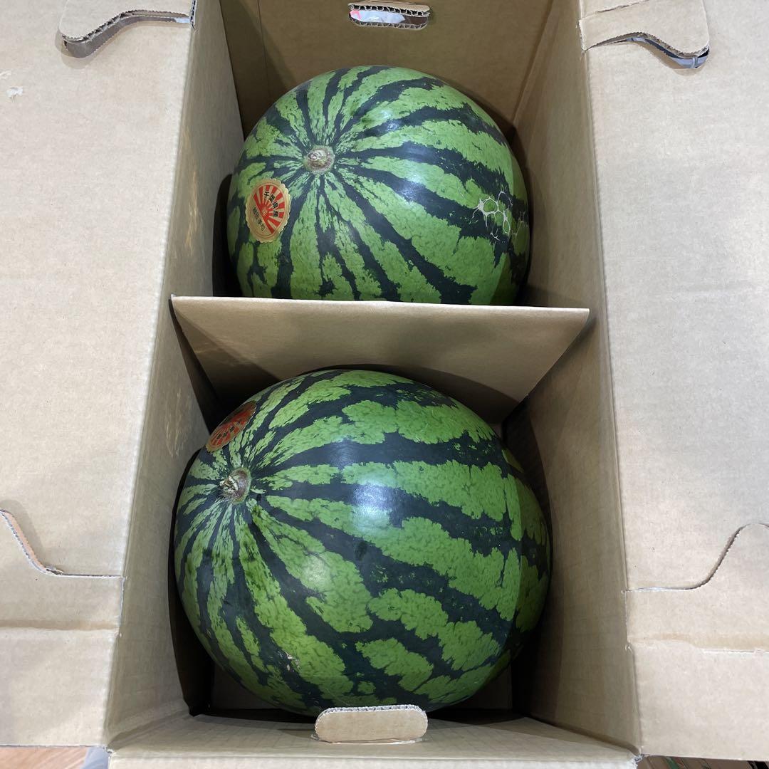 0599千葉県産丸朝大玉スイカ良品4Lサイズ1箱2玉入り果物