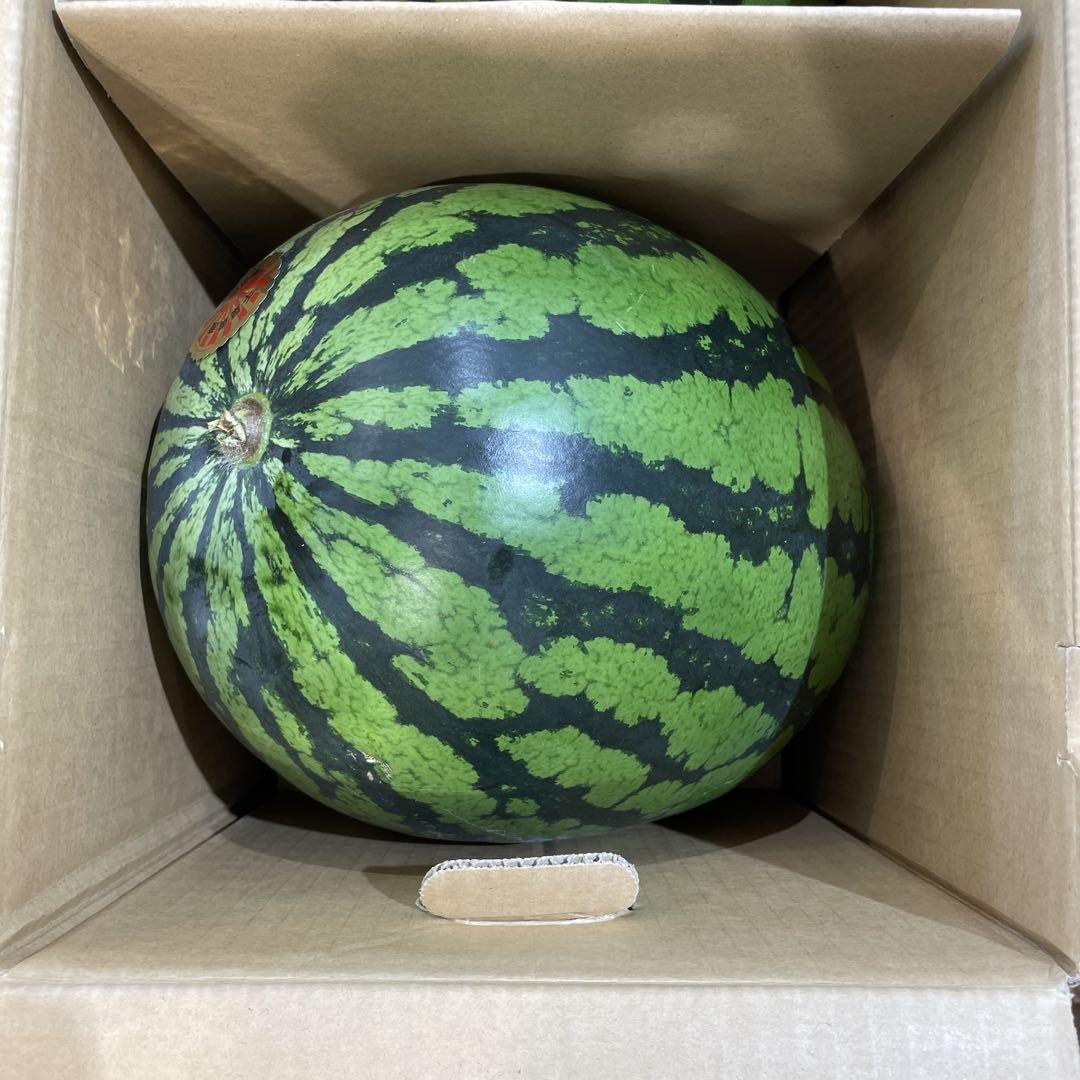 0599千葉県産丸朝大玉スイカ良品4Lサイズ1箱2玉入り
