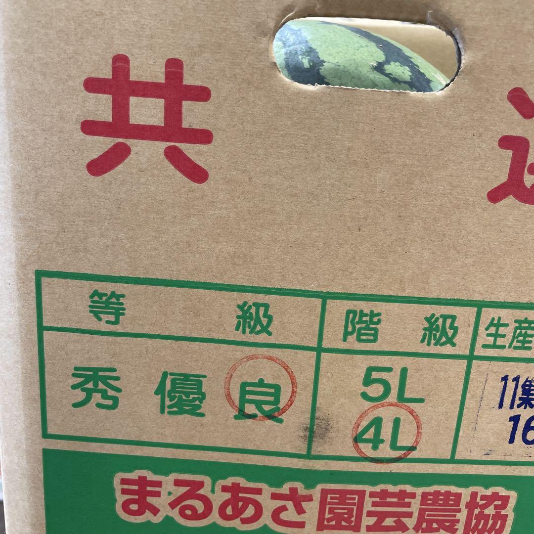 0599千葉県産丸朝大玉スイカ良品4Lサイズ1箱2玉入り