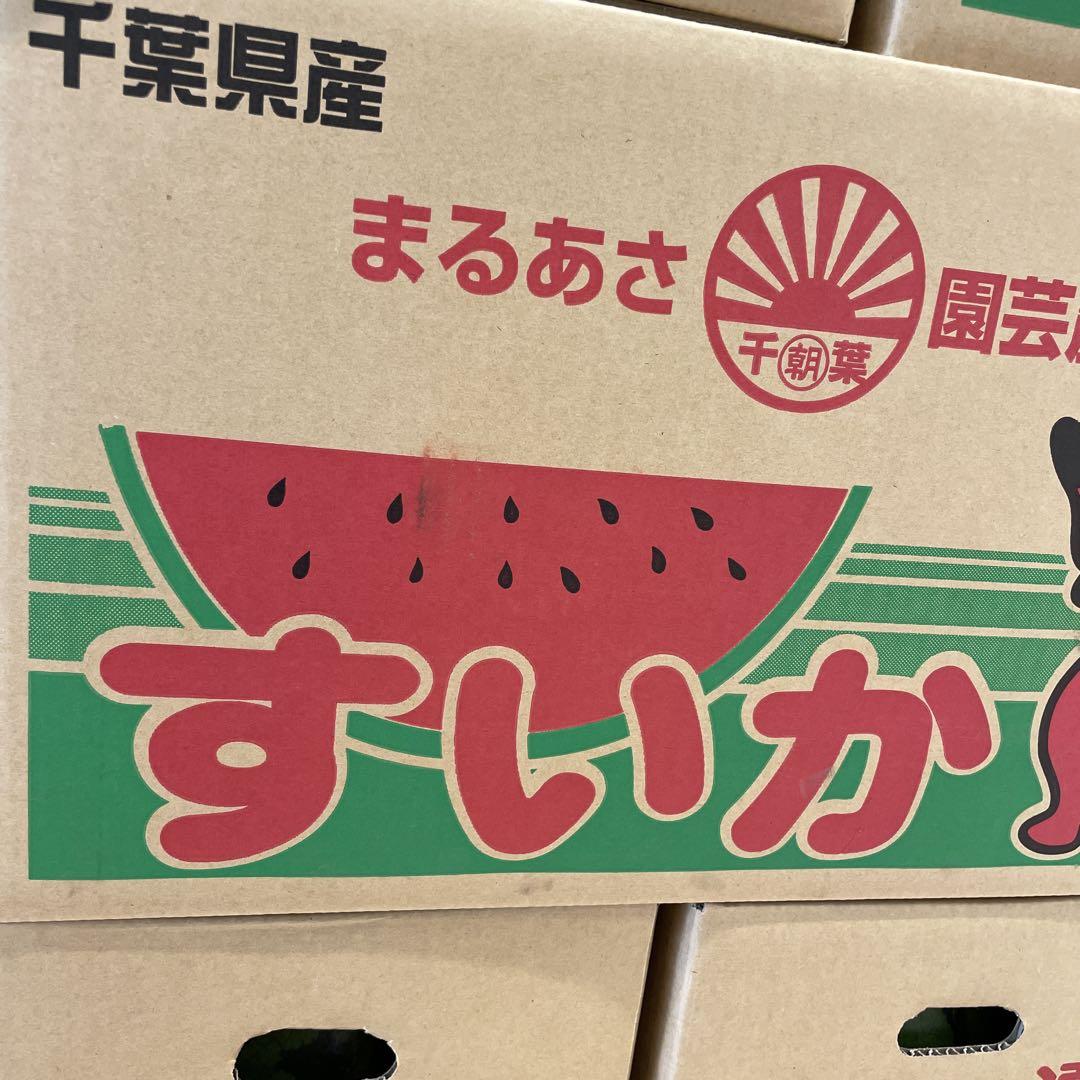 0599千葉県産丸朝大玉スイカ良品4Lサイズ1箱2玉入り