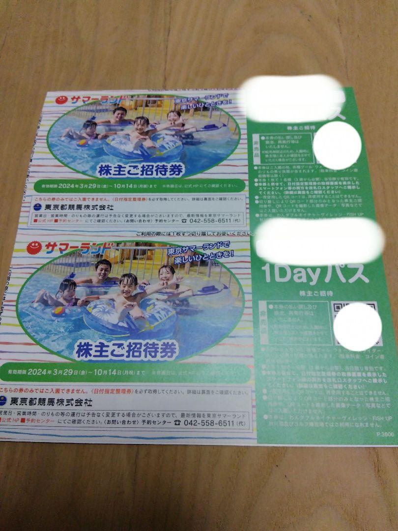サマーランド　株主ご招待券　1DAYパス　2枚