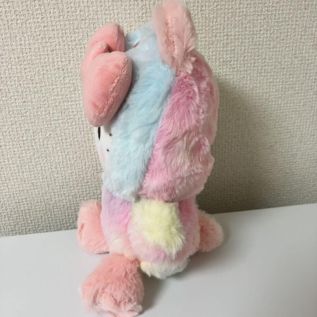 『ゆき』ご予約商品５点セット