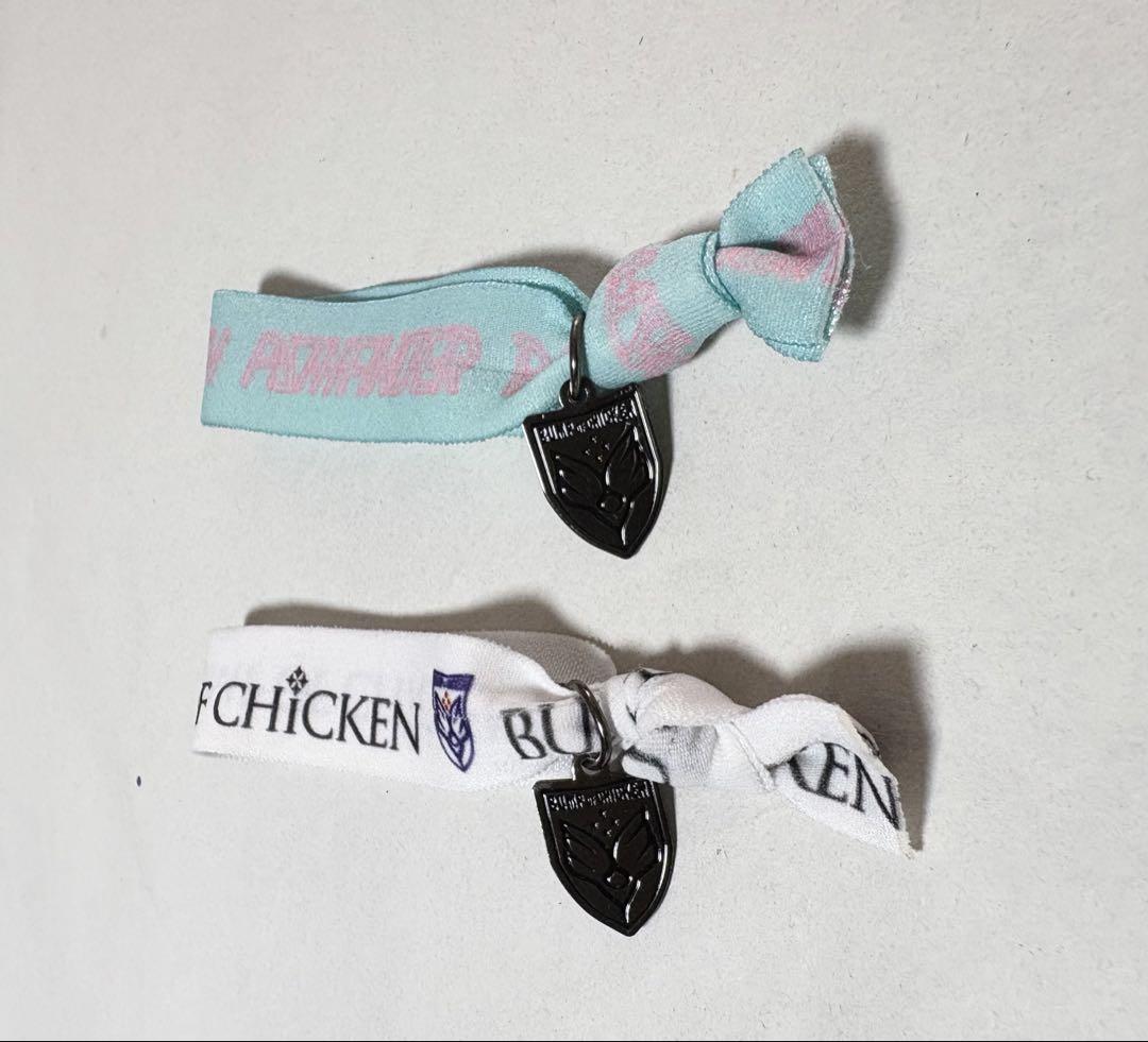 BUMP OF CHICKEN LIVEグッズ　まとめ売り　ニコルあり