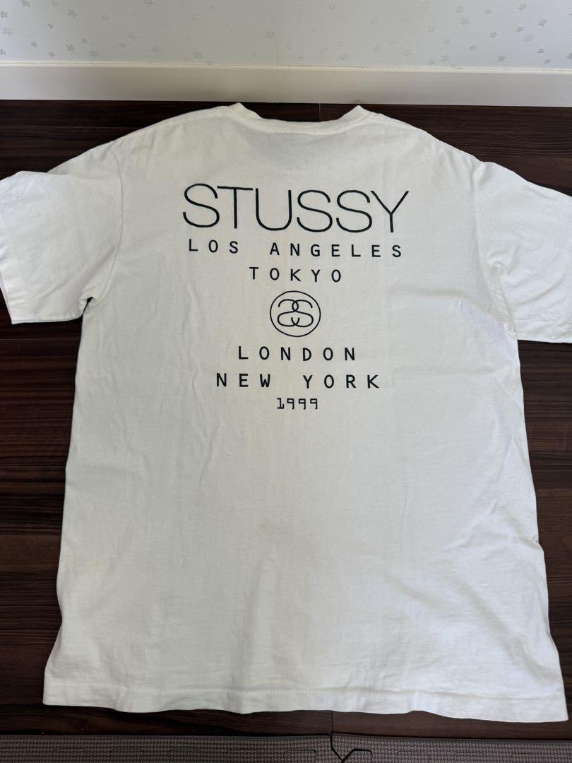 SUTUSSY 1999 ワールドツアー Tシャツ ゼブラ柄半袖Tシャツ