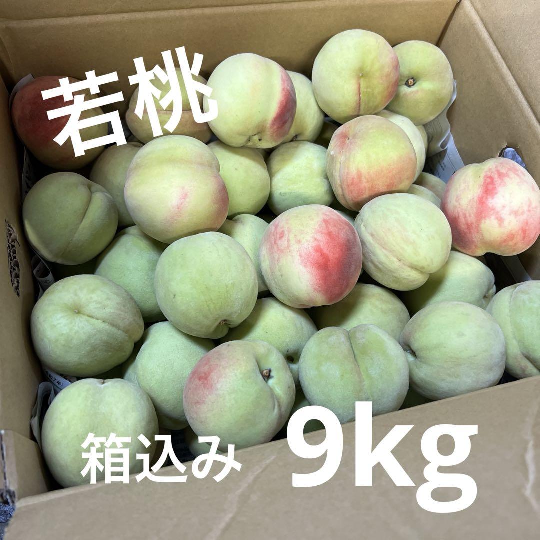 ⑰若桃 箱込み 9kg