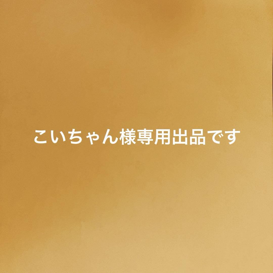 こいちゃん様専用出品です、