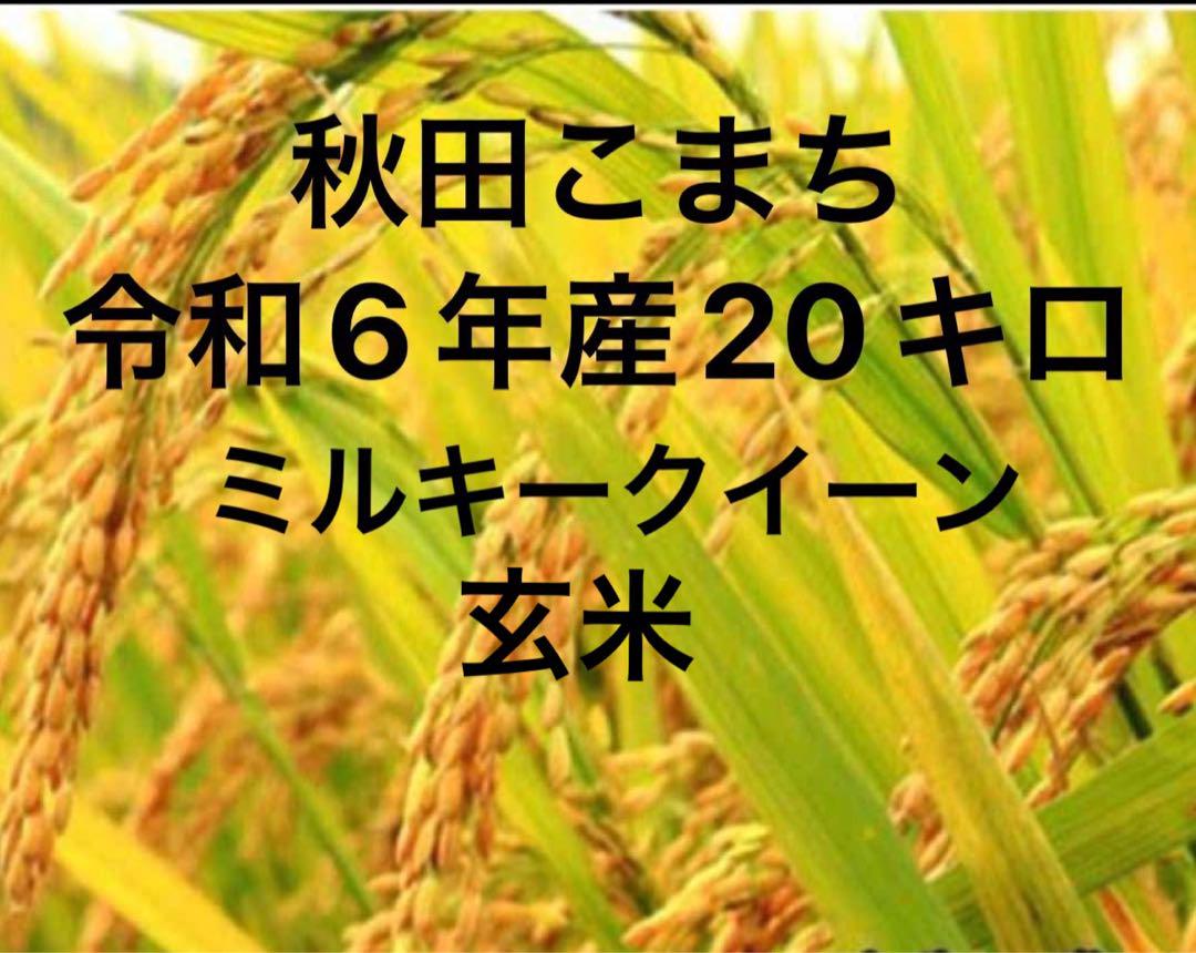 秋田こまち 令和6年産 玄米 20キロ ミルキークイーン