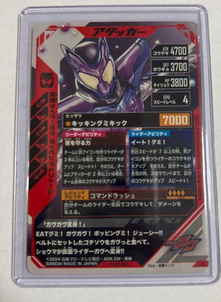 ガヴ LR