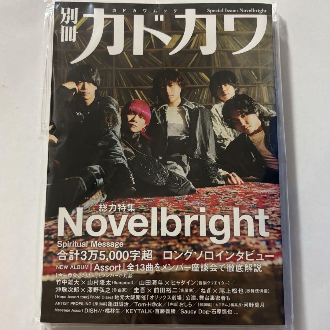 別冊カドカワ Novelbright 総力特集