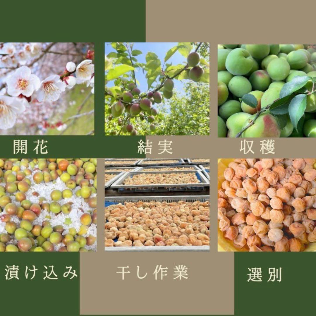 【訳あり】はちみつ梅干し1kg×2和歌山県産紀州南高梅