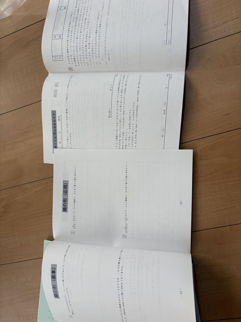 福袋 sapix 小6 教材 全科目 一年間 2024-2025 その他
