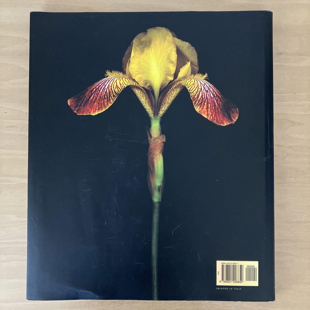 希少 黒入荷！ ONE HUNDRED FLOWERS」「ウィムハゼラー作品集」2冊セット 花 アート・デザイン・音楽