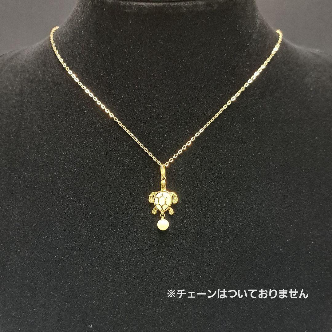 亀モチーフ