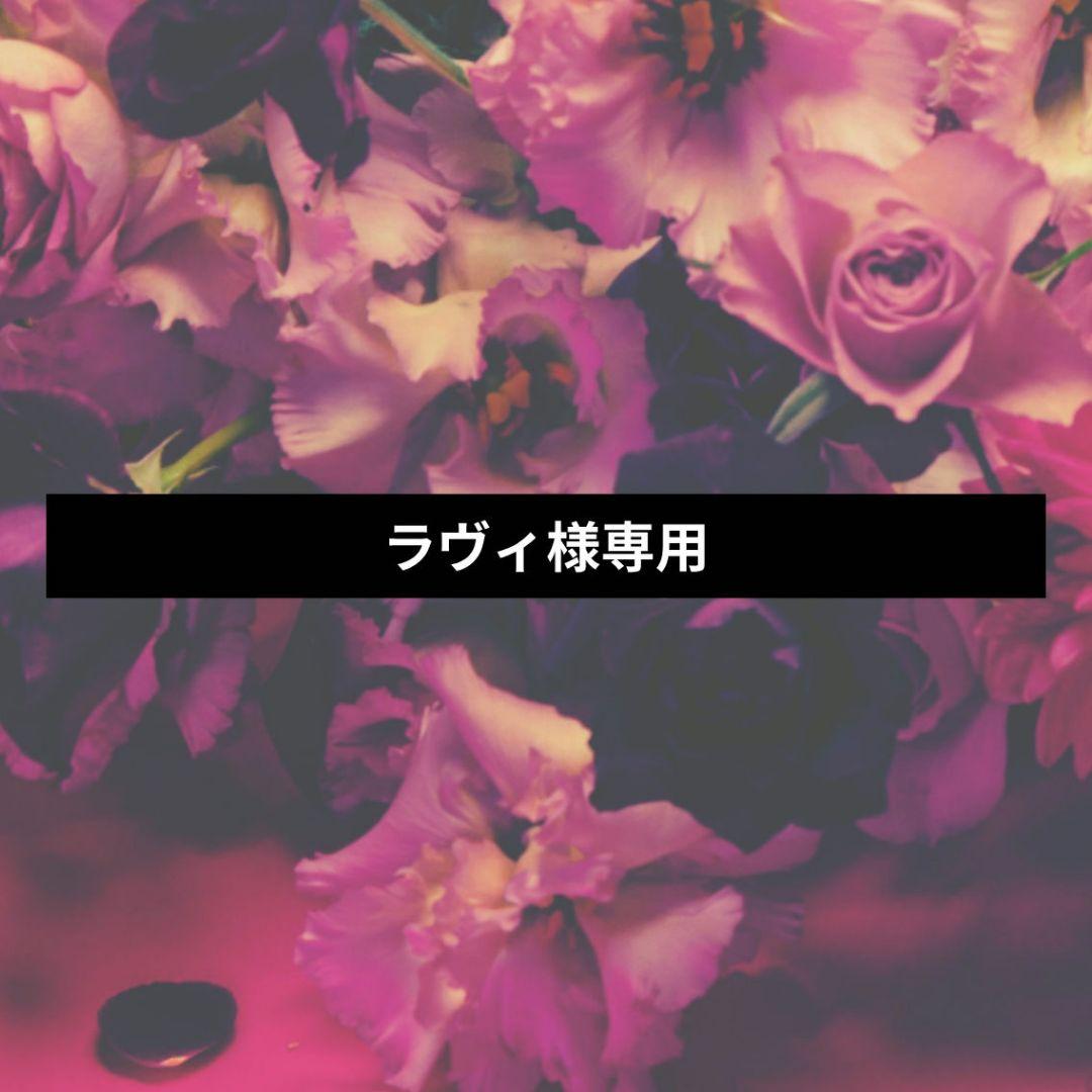 ラヴィページ【inst Pre-order】①③