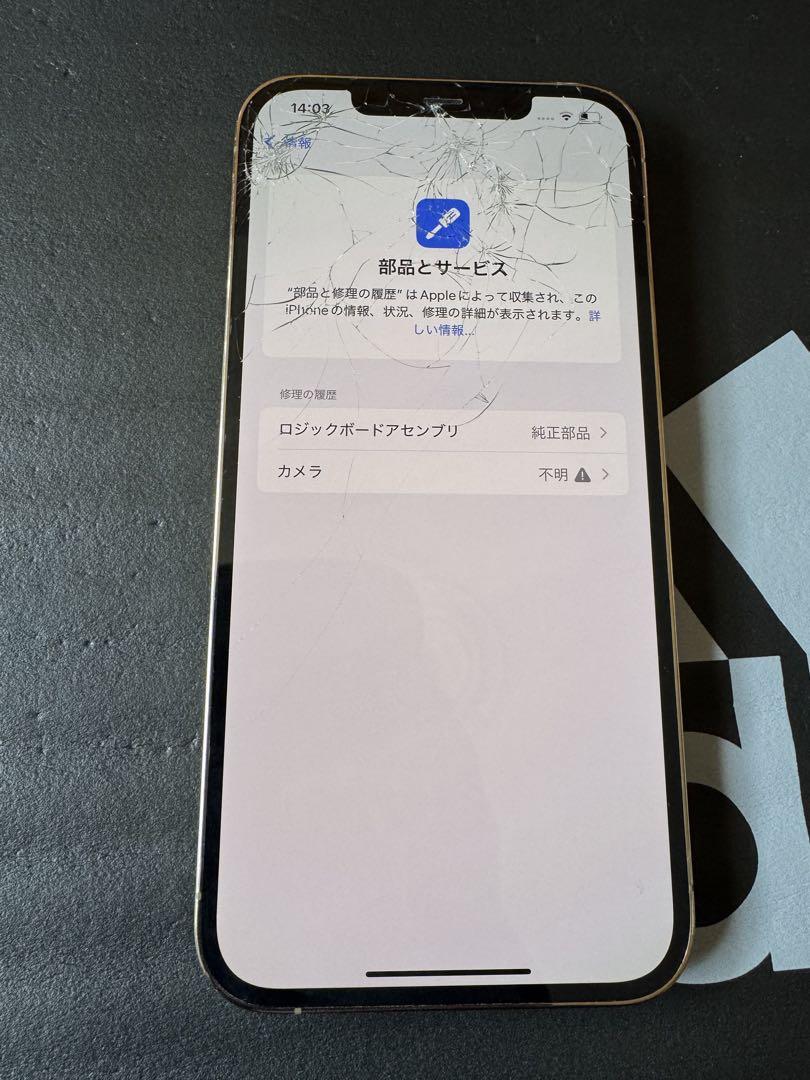 12 Pro