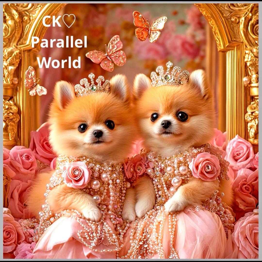 限定10枚 レアパネル生地 6柄セット ポメラニアン 犬パネル生地 限定10枚 レアパネル生地 6柄セット ポメラニアン 犬パネル生地