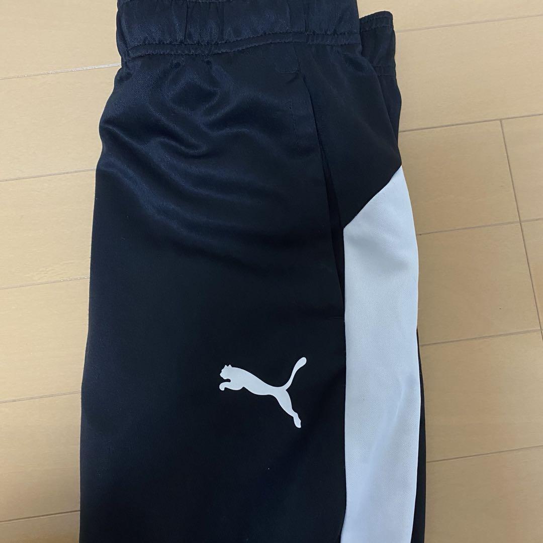 プーマ　PUMAセットアップジャージ　人気カラー
