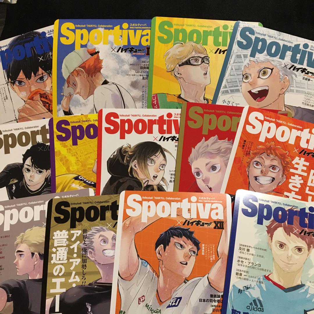 ハイキュー ショーセツバン ビジュアルボード 特典 全巻セッ