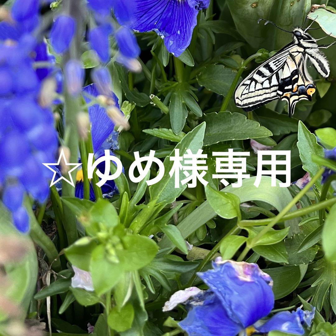 ☆ゆめ様専用
