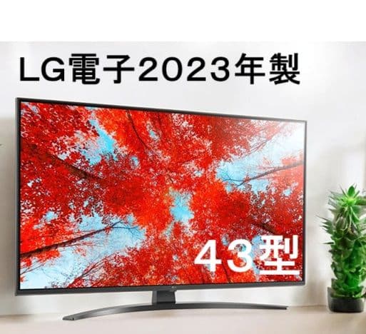 LG電子43型4K液晶テレビ 2025年製 保証付42~46インチ・LG