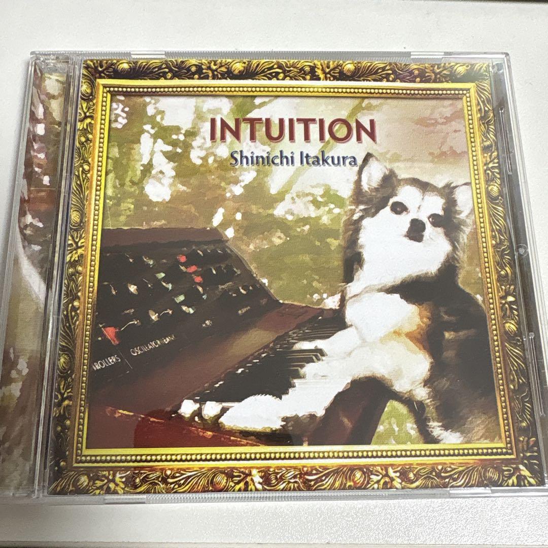 板倉真一 shinichi itakura INTUITION
