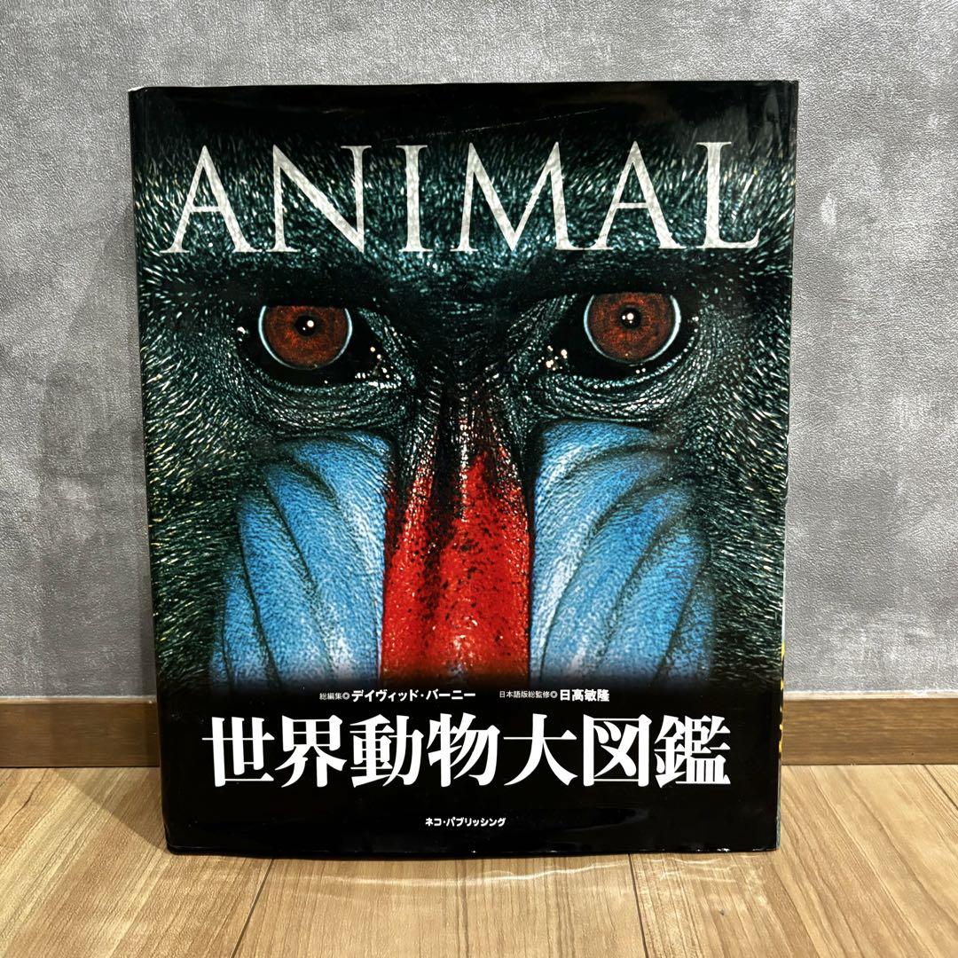 ANIMAL 世界動物大図鑑 デイヴィッド アッテンボロー 動物 ず