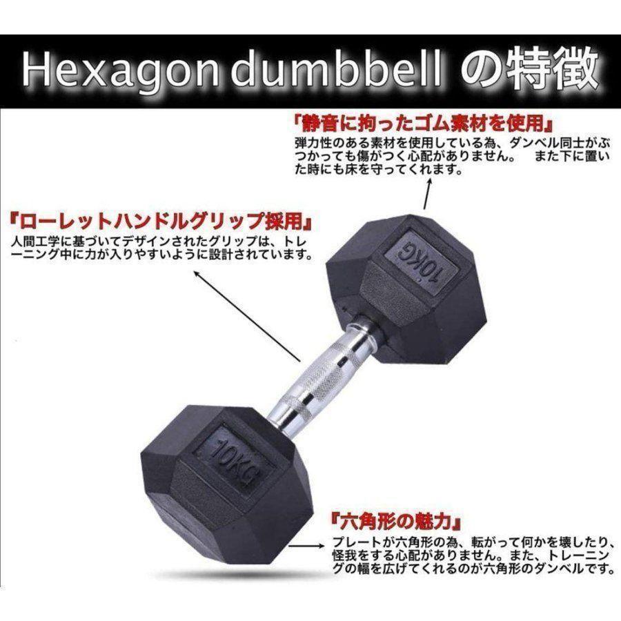 621_ヘキサゴンダンベル 10kg 2個セット 六角 筋力トレーニング ダンベル10kg 2個セット 六角 筋力トレーニング 鉄アレイ621