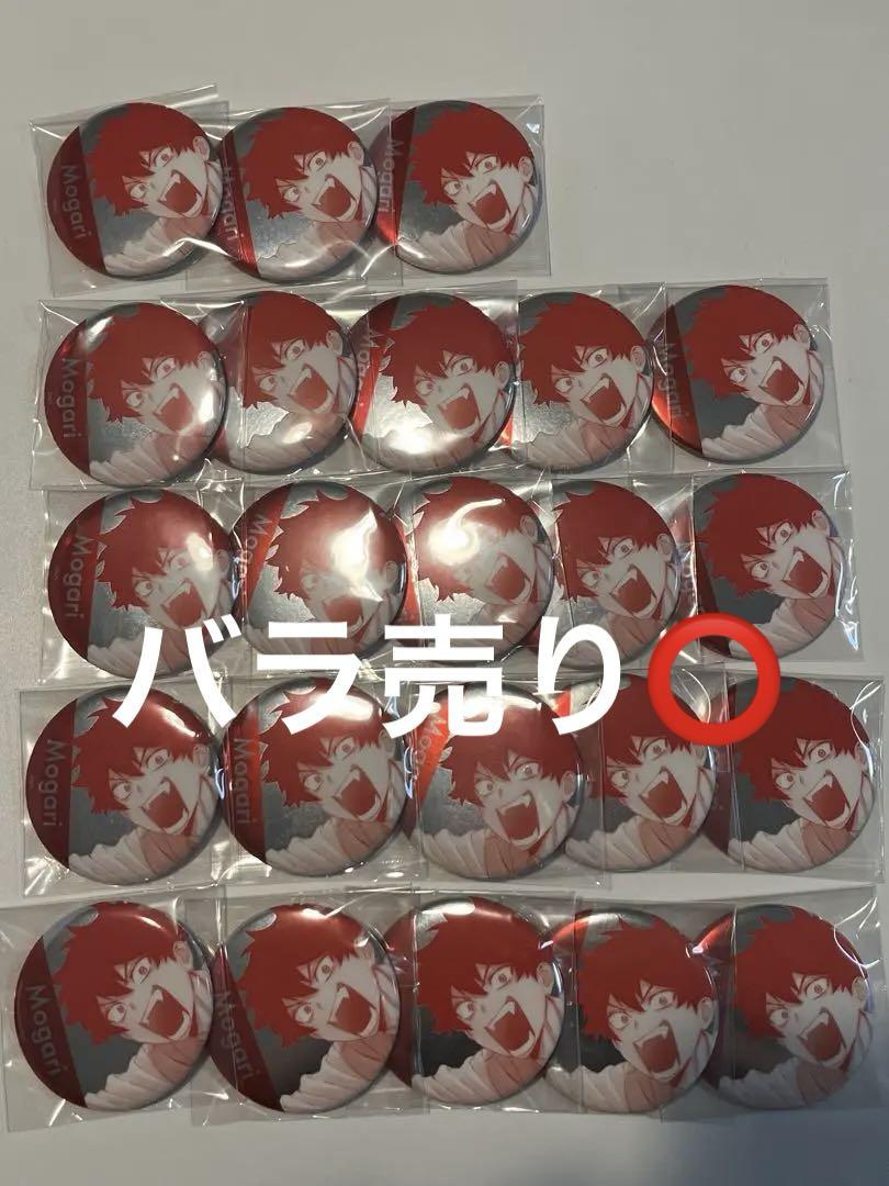 宍喰野虎落 メタル缶バッジ 23点 宍喰野虎落 メタル缶バッジ 23点