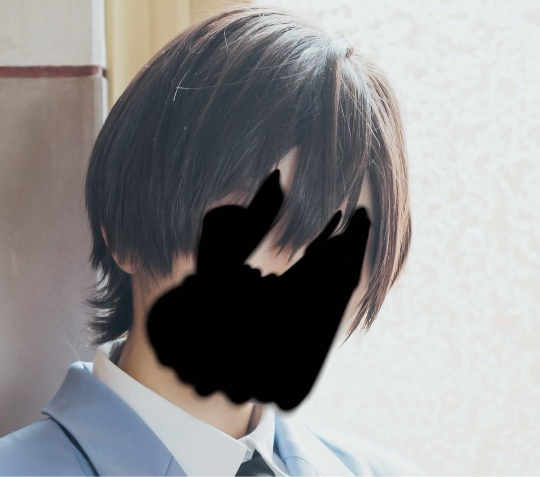 桜蘭高校ホスト部 コスプレ 制服 ウィッグ