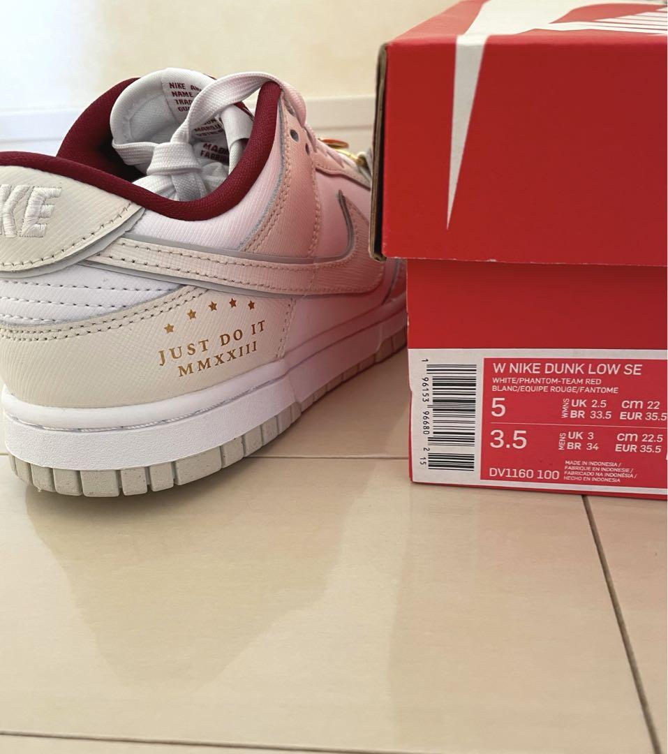新品・限定品 NIKE DUNKLOW SE 22㎝