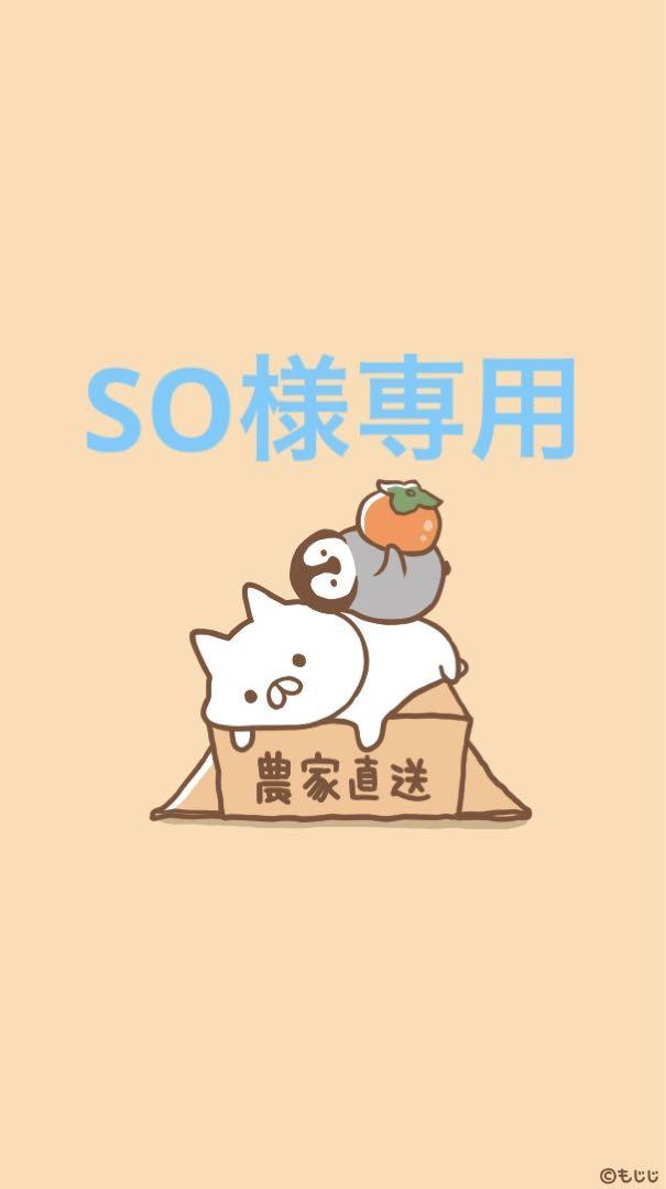 ∞----------- SO様専用 -----------∞ - メルカリ 先行販売 so様 専用 ダウンジャケット